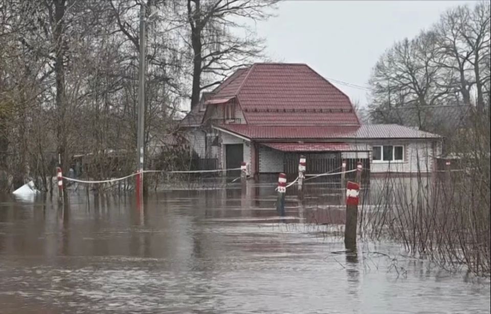 ������� ���� � ����������� ��� ������������ ������� ���������