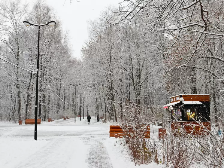 Парк «Дубки» не будет отмечать Масленицу в этом году