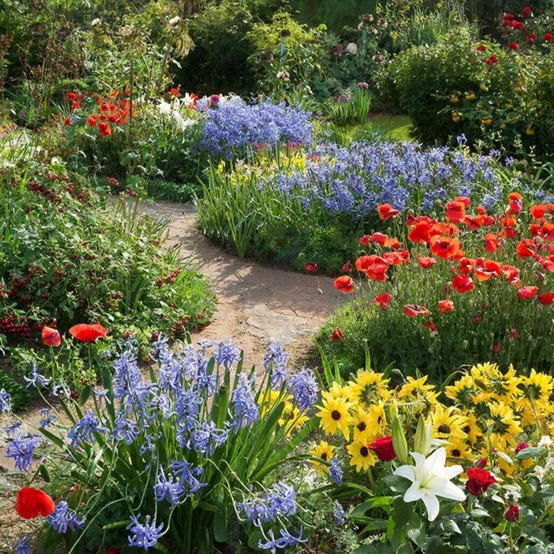 ��������� ������ ��� ������ ����: ��� ������� �������� ��� �����