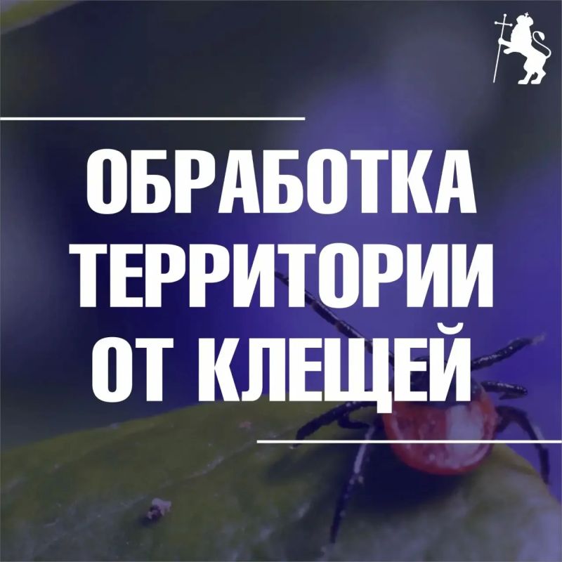 ��������� ������ � ����� ������ ���������