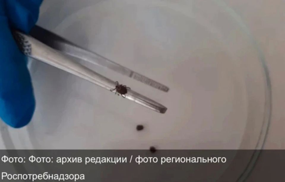 �� ������������ ������� ����� ��������� ��� 5 �������