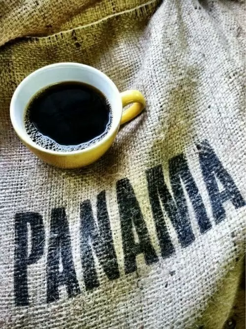 Панама: живописный уголок с кофе, который покоряет мир