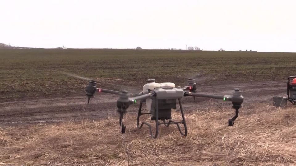 �� ������������ ������� ����� �������� ����� �������� ��������������