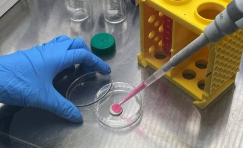 ��� ����� ��������� ������� ��������: ������ � ���� �� �����������