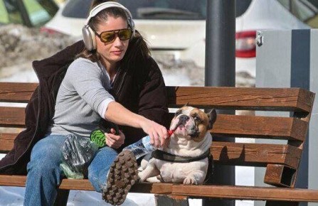 Московские заведения открывают двери для четвероногих друзей