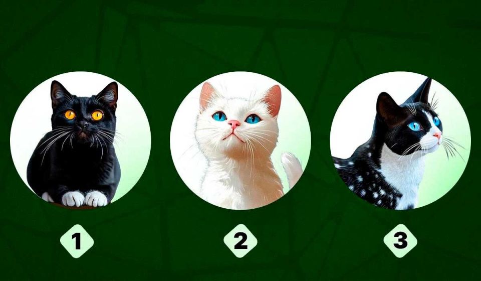 � ������������� ��� ������������