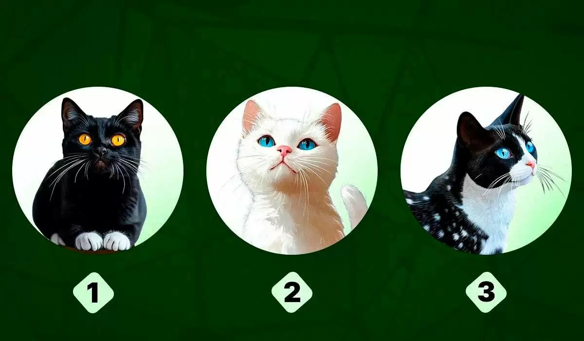 В увлекательный мир самопознания