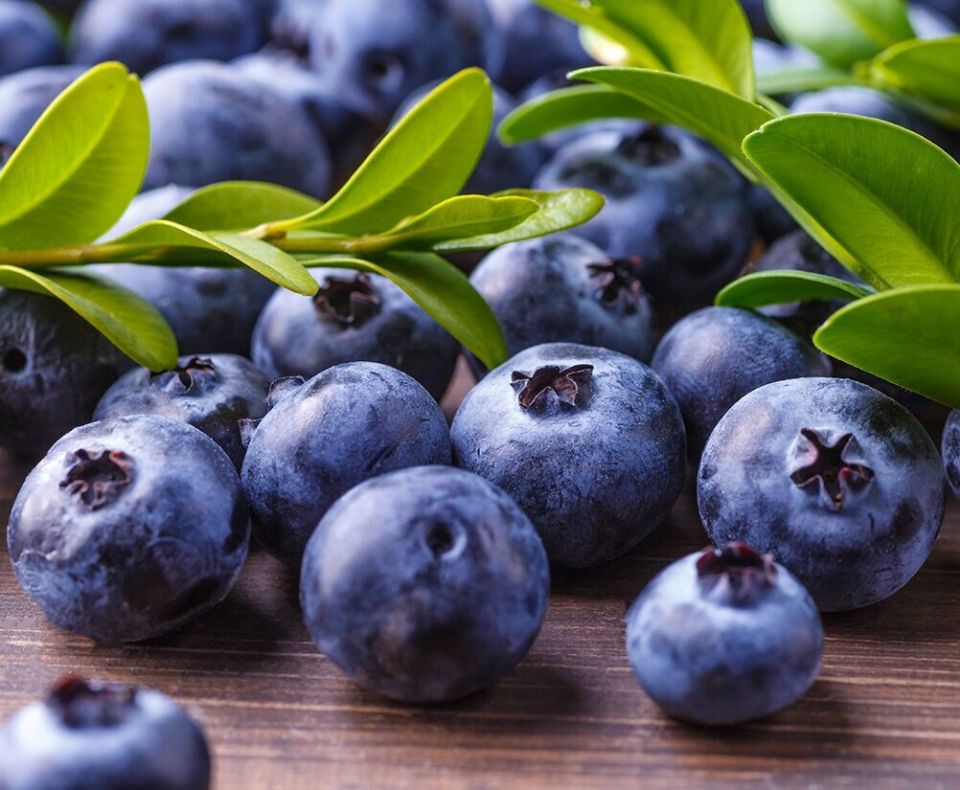 �������� � ����� ����: ������� ��������� �����������