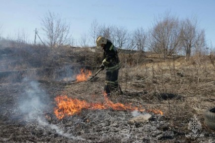 11-летний школьник поджег траву в поле в Юрьев-Польском округе