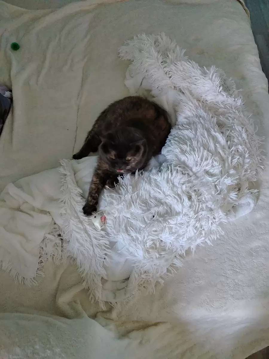 Металлические салфетки: революция в кухонной уборке