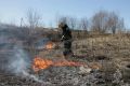 11-летний школьник поджег траву в поле в Юрьев-Польском округе