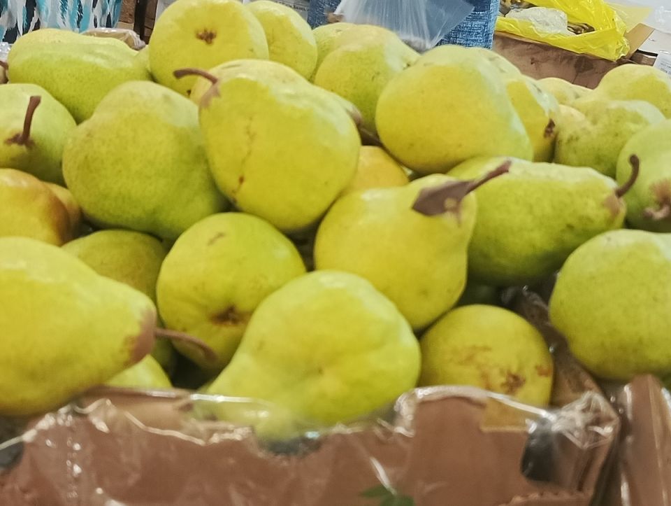 ��������: ��������� ���� � ������ �������� �� �����, ������� ������