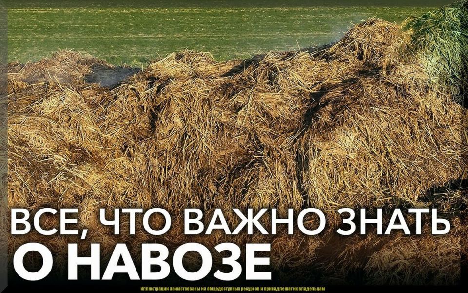 ����� � �������: ������������� ����� ��� �������� �����?