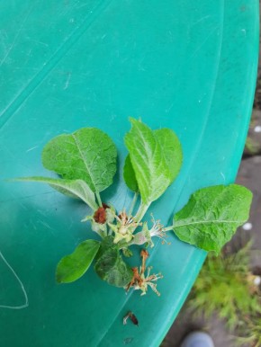 ����� ����� �������� ��� �� ������������: ������ �� ��������� ������