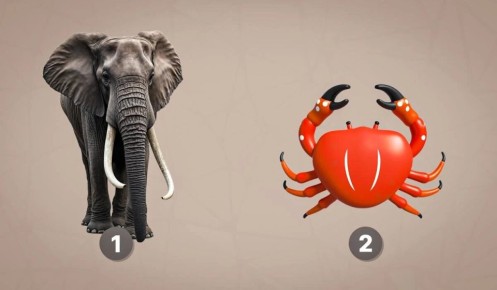 ��� ��� ����� ��������� ����� ���������� � ���������� �����