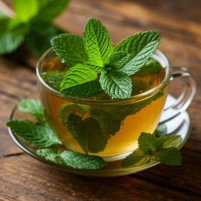 ���� �� ����: ��������, ������� ����� ����� ��������� �����������