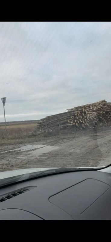 � ������������ ������������� ������ �� ���������� ��������� ��������� ��������� ���������� ����������������