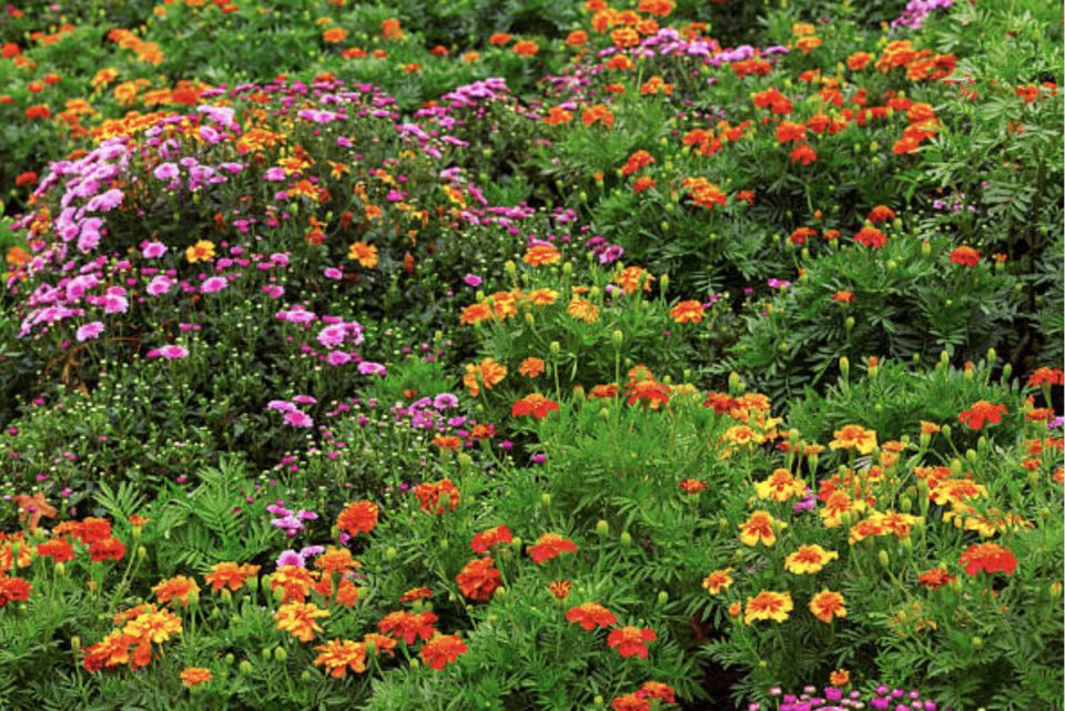 ������� ������: ��������� ����������� ��� �������� �����