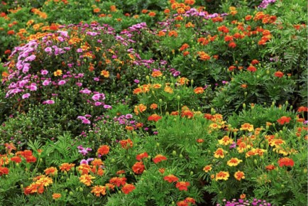 ������� ������: ��������� ����������� ��� �������� �����