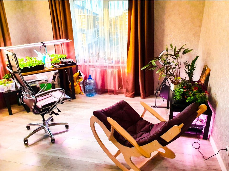 ������� ��������� ������� � ������� ����: ��� ������� ������� ��� ������