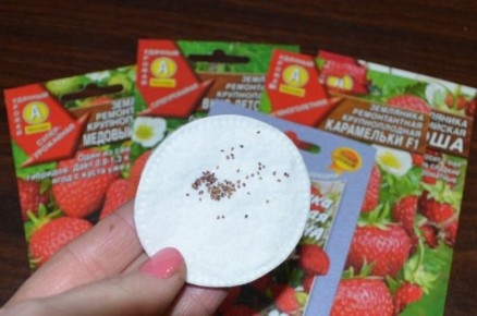 ����� �������� �� �������: ������� ����� � ����������� ����