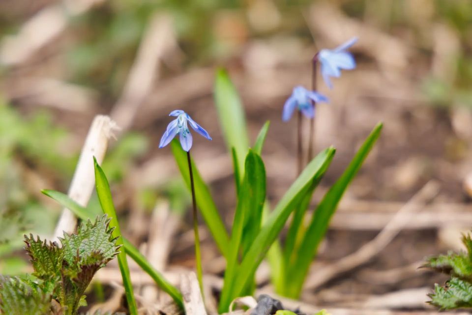 ������ ����� ������� ����������� �������� ������ ���� ������