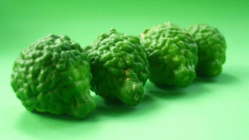 ���������� ������ ��������� ������ �����������-��-�����