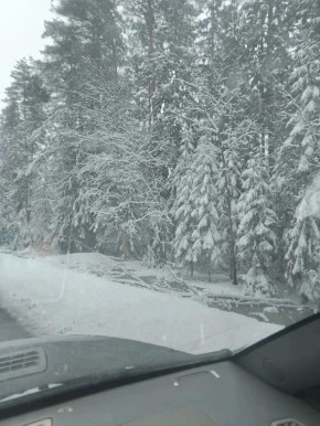 �������� ������ � ����������� ���������� ������� ������������ �������