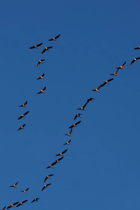 ����, ������ �����. ����������� ���� ���������� �������� ������, ����� �������� ���� ����� ����� ��������� ��� �������, ������� ������������� ��������� ����������� ��������