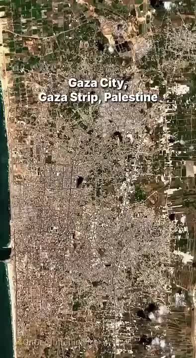 ������ ���� - ����� � ����� ������� ���������� ������������� � �������