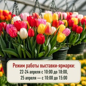 ������� � ������ �����. ��� ������ ���������� ������� � �������?