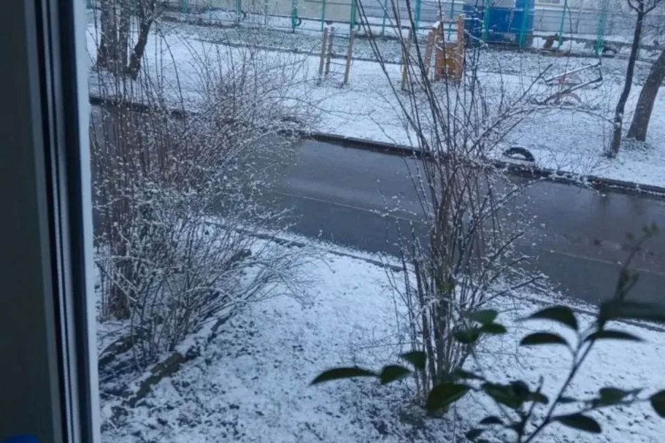 ����������� ���� ������ ������� ����� � �����������