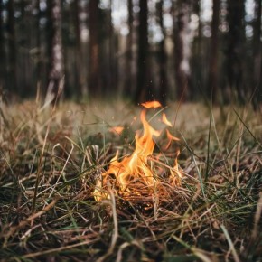 ������������ ������� ��������� ���� �� �������������� ������ �������