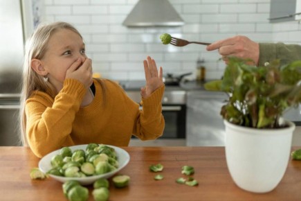 �������� ����: ��� ������������� ����� ����� � �������