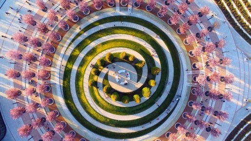 ��� ������� �������� ���������� � ����� ����