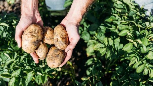 ������� ������: ��� �������� �������� �������� � ������ ��������� ���� ��������� ������������