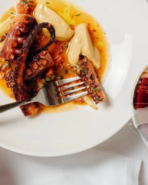 ����������������� ����: ��� ��������� Novikov Group ��������������� �������� �����