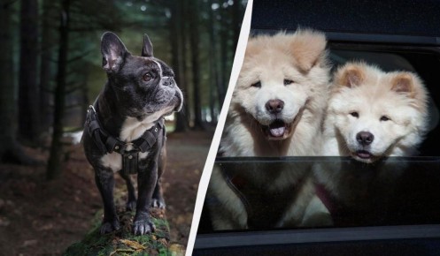 ����� ������ ����� ����� ������� �����? ����� ������ � ������