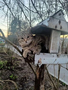 ������ ����!. �������� ������� ������? ���������