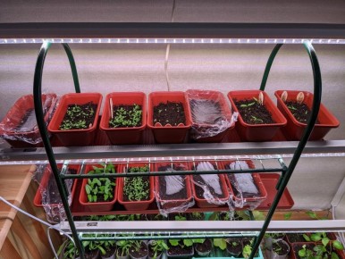 ������ ������� ����� ����� �������� ����������� � ���������: ������ ���� �� ������ �����