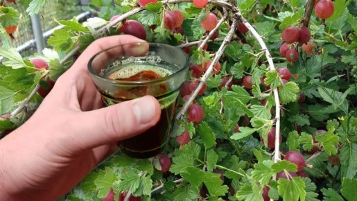 ��� ��������� ���������� ��������� � ����� ������