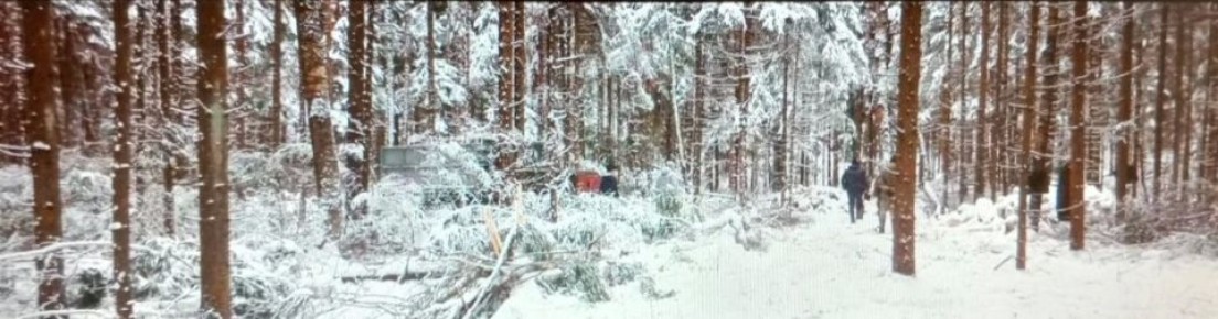 � ���������� ������� �������� �� ���������� ���� � ���������� ����� ������ ���������� � ����� ������� �������