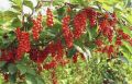 �������� ���������: ��� ��������� ���������� ����� � ����� ����