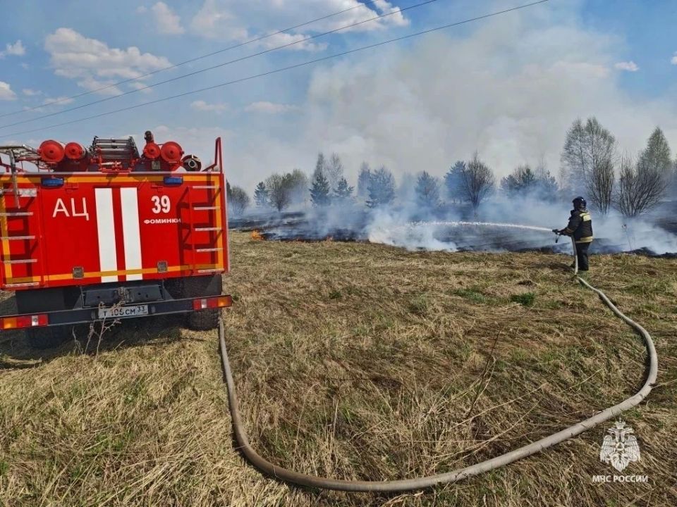 Сотрудники МЧС и добровольцы успели потушить поле и не допустили переброс огня на дома в селе Фоминки Сотрудники МЧС и добровольцы успели потушить поле и не допустили переброс огня на дома в селе Фоминки