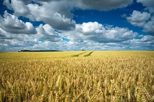 Как выйти из застоя: пять шагов к обновлению жизни