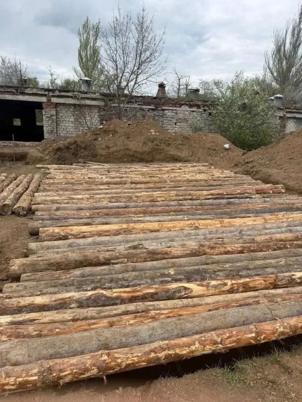 Жители Петушинского округа направили лес на фронт для строительства защитных сооружений Жители Петушинского округа направили лес на фронт для строительства защитных сооружений