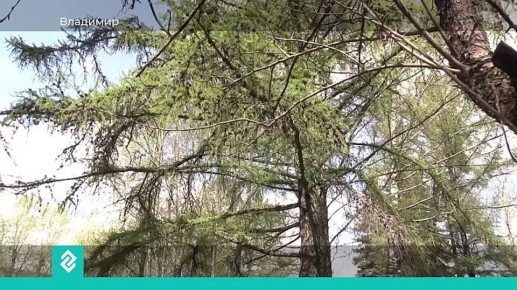 Во Владимирской области продолжается онлайн-голосование за объекты, которые будут обустроены в следующем году