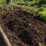 Как улучшить почву на грядке в мае: советы без перекопки