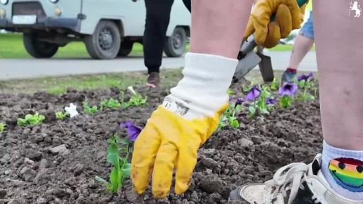 Улица Мира расцветает!. Владимир активно готовится к летнему сезону, и наш город наполняется яркими красками
