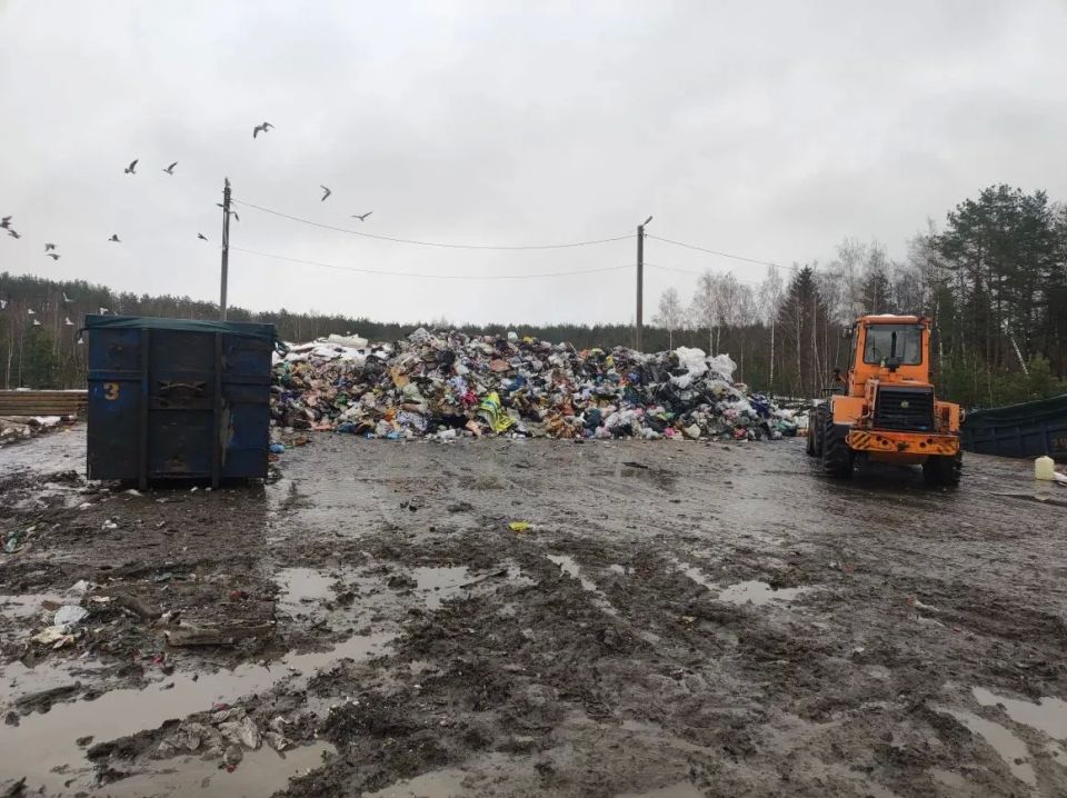 Владимирский природоохранный прокурор требует привести деятельность по эксплуатации мусороперегрузочной станции в д. Храпки в соответствие с требованиями законодательства